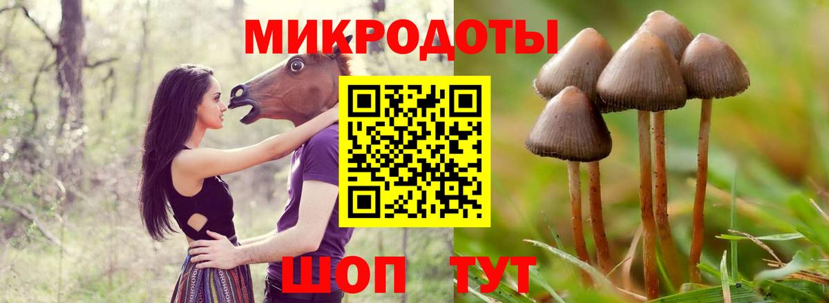 Псилоцибиновые грибы Cubensis  магазин  наркотиков  Серов  Вход с VPN 